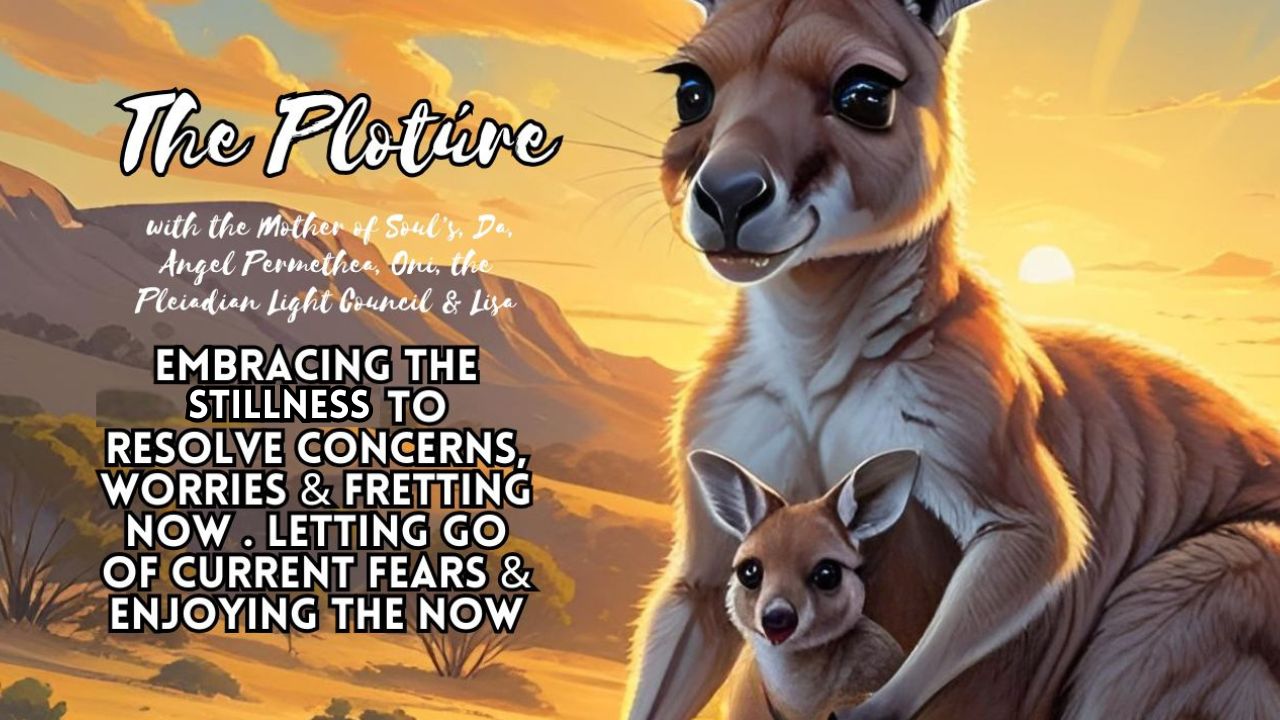The Plotúre: Embracing the Stillness to Resolve Concerns, Worries & Fretting Now . Letting Go of Current Fears & Enjoying the Now