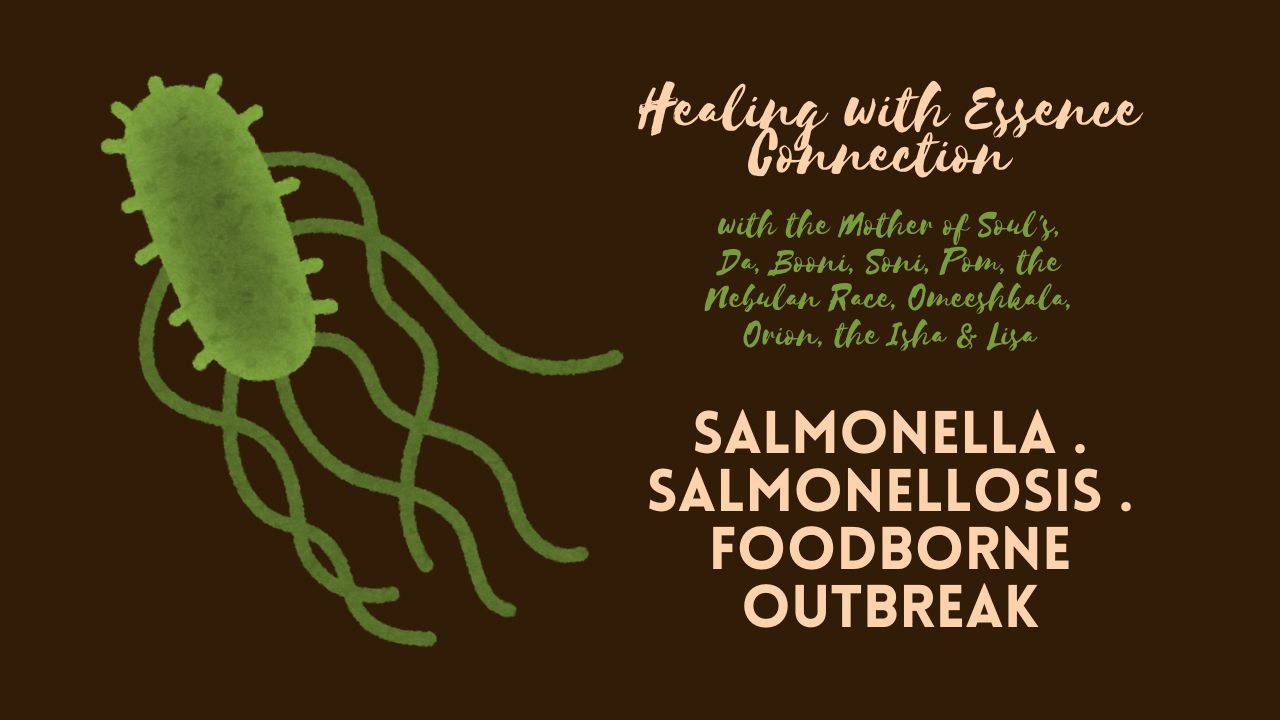 Healing with Essence Connection: Salmonella . Salmonellosis . Foodborne Outbreak